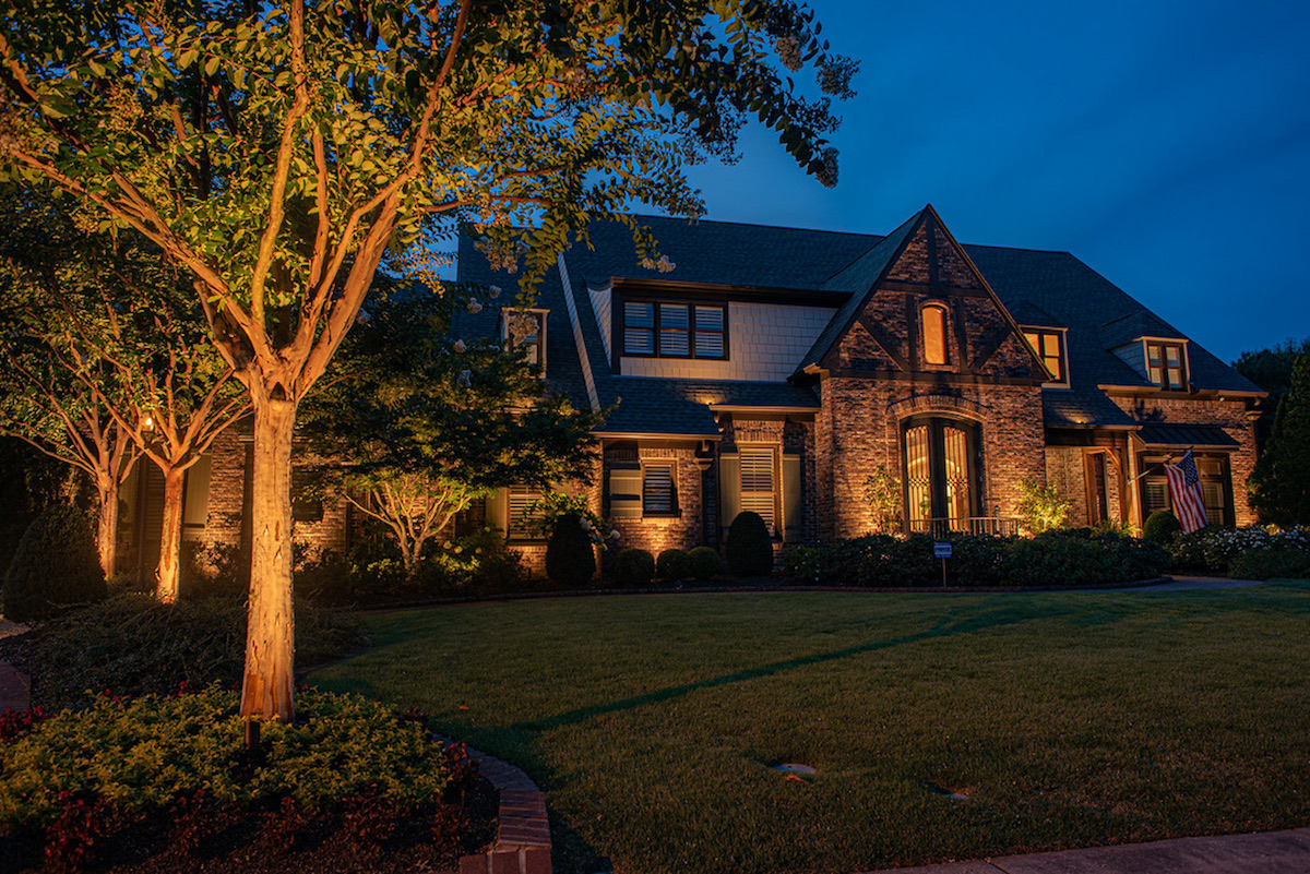 Best landscape lights for trees hotsell